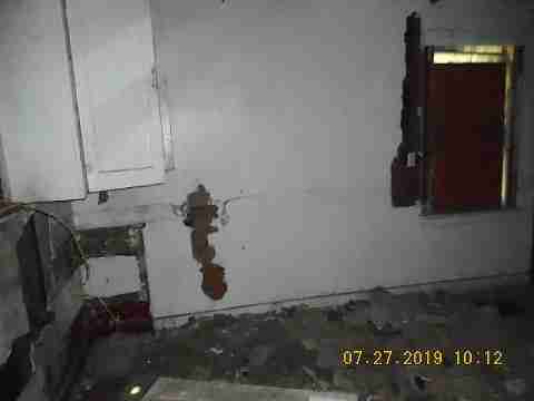 16737 Dolphin (25)_m.jpg